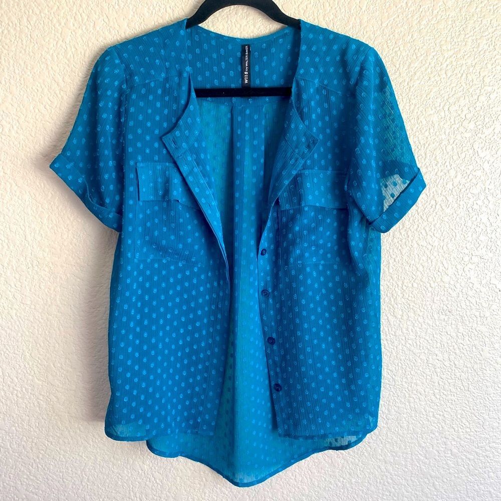 1118 by Walter Baker Sheer Teal Button-Front Blouse – XS